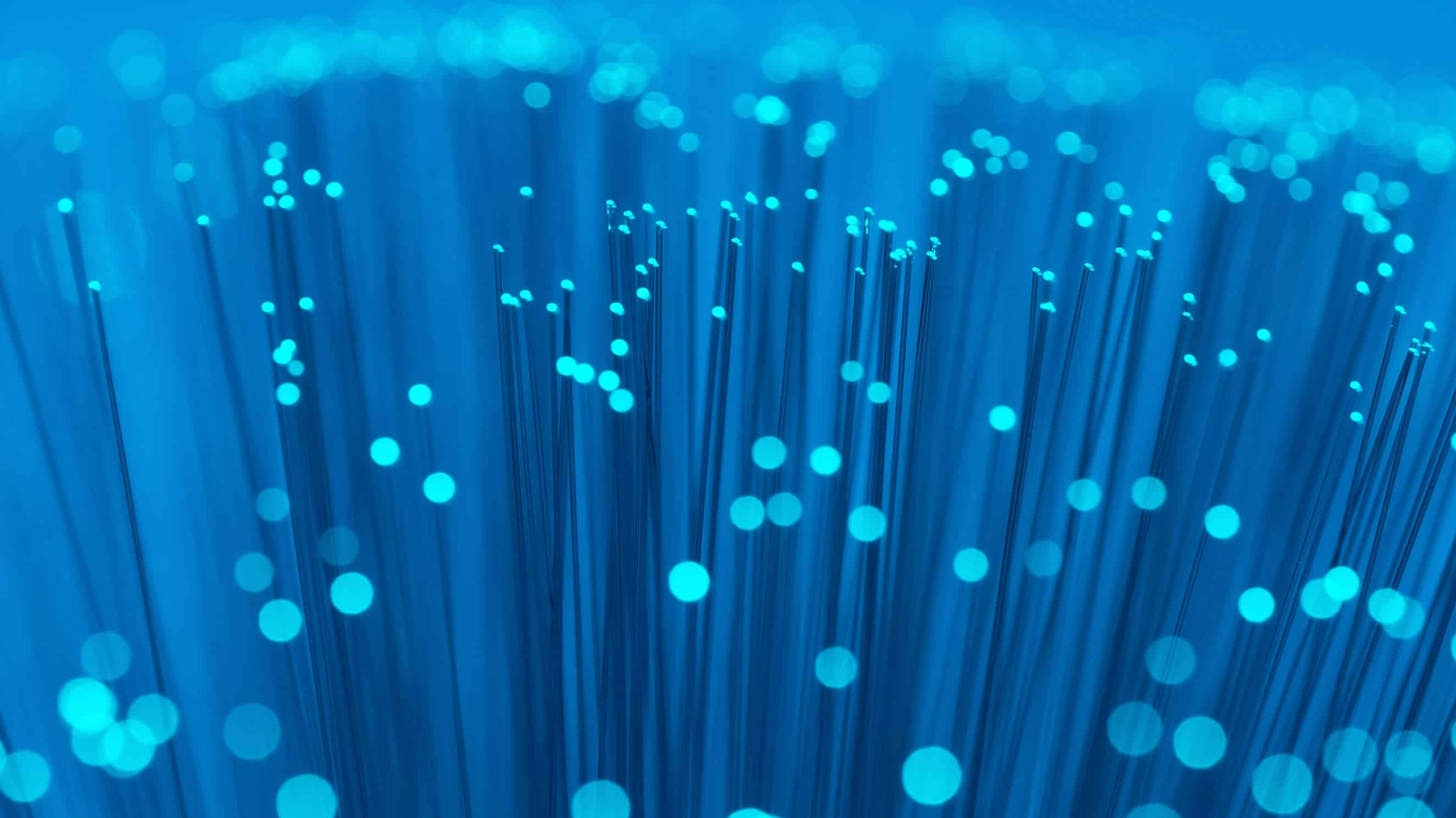 Optical Isolators and Circulators for Carrier Networks